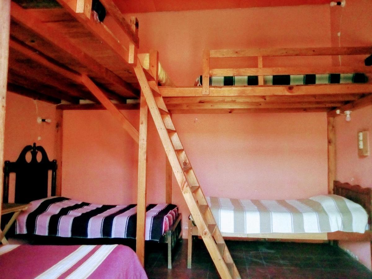 Hostal El Rincon De Los Camellos San Cristobal de las Casas Bagian luar foto