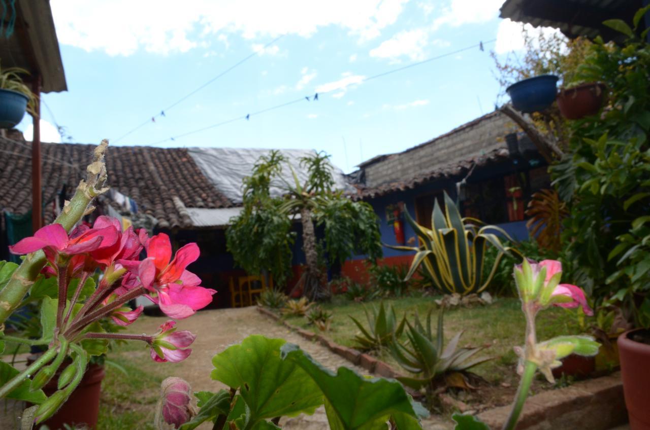 Hostal El Rincon De Los Camellos San Cristobal de las Casas Bagian luar foto