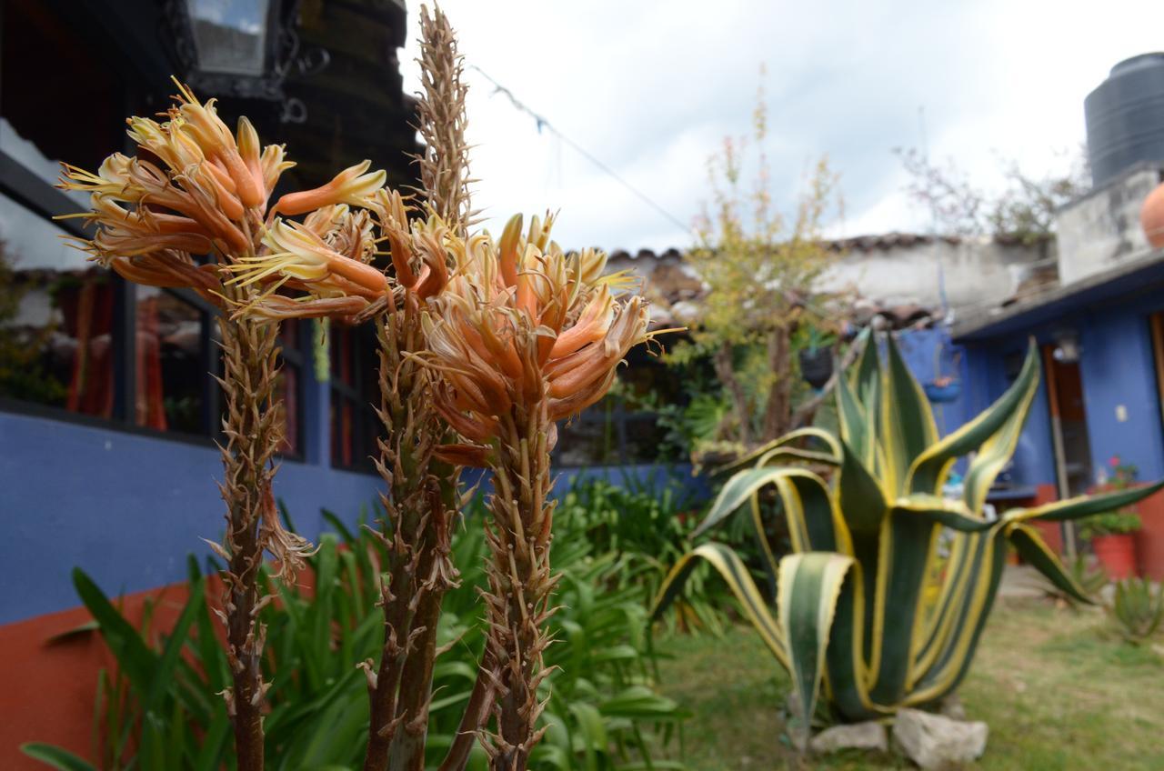 Hostal El Rincon De Los Camellos San Cristobal de las Casas Bagian luar foto