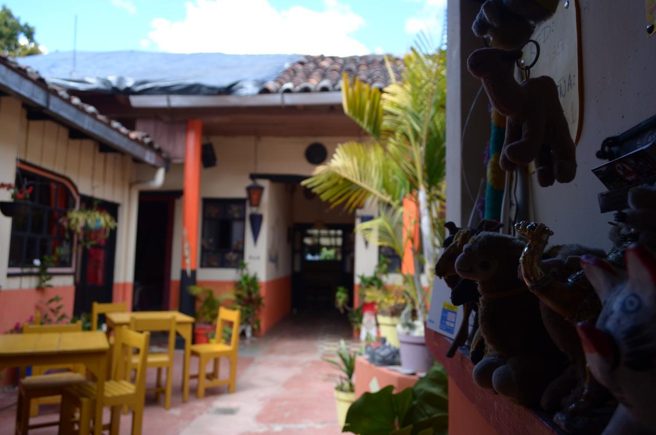 Hostal El Rincon De Los Camellos San Cristobal de las Casas Bagian luar foto