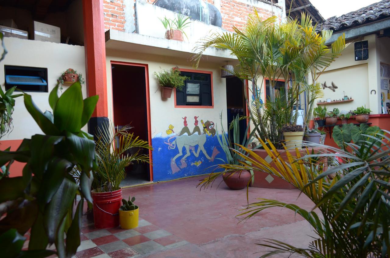 Hostal El Rincon De Los Camellos San Cristobal de las Casas Bagian luar foto