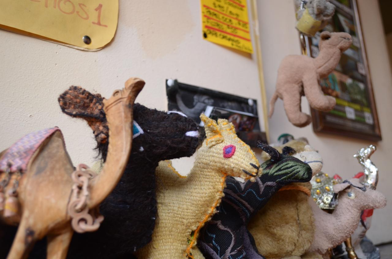 Hostal El Rincon De Los Camellos San Cristobal de las Casas Bagian luar foto