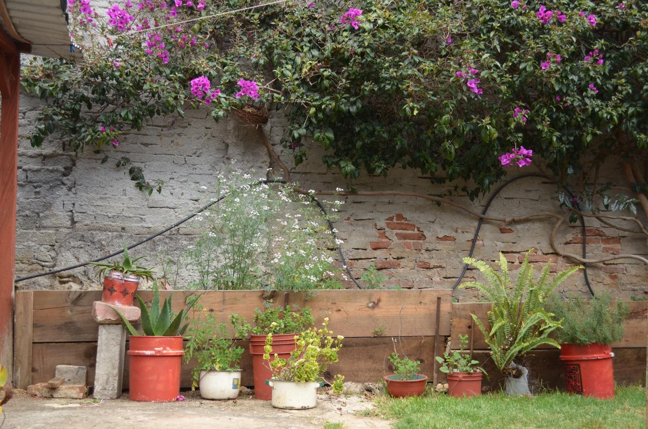 Hostal El Rincon De Los Camellos San Cristobal de las Casas Bagian luar foto