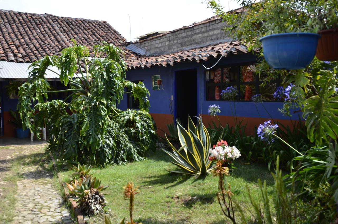Hostal El Rincon De Los Camellos San Cristobal de las Casas Bagian luar foto