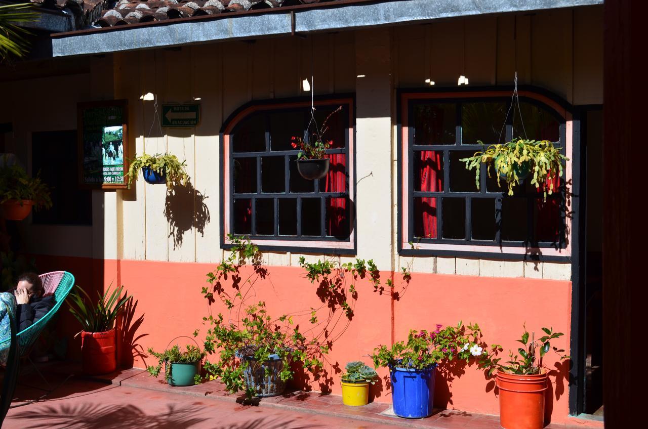 Hostal El Rincon De Los Camellos San Cristobal de las Casas Bagian luar foto
