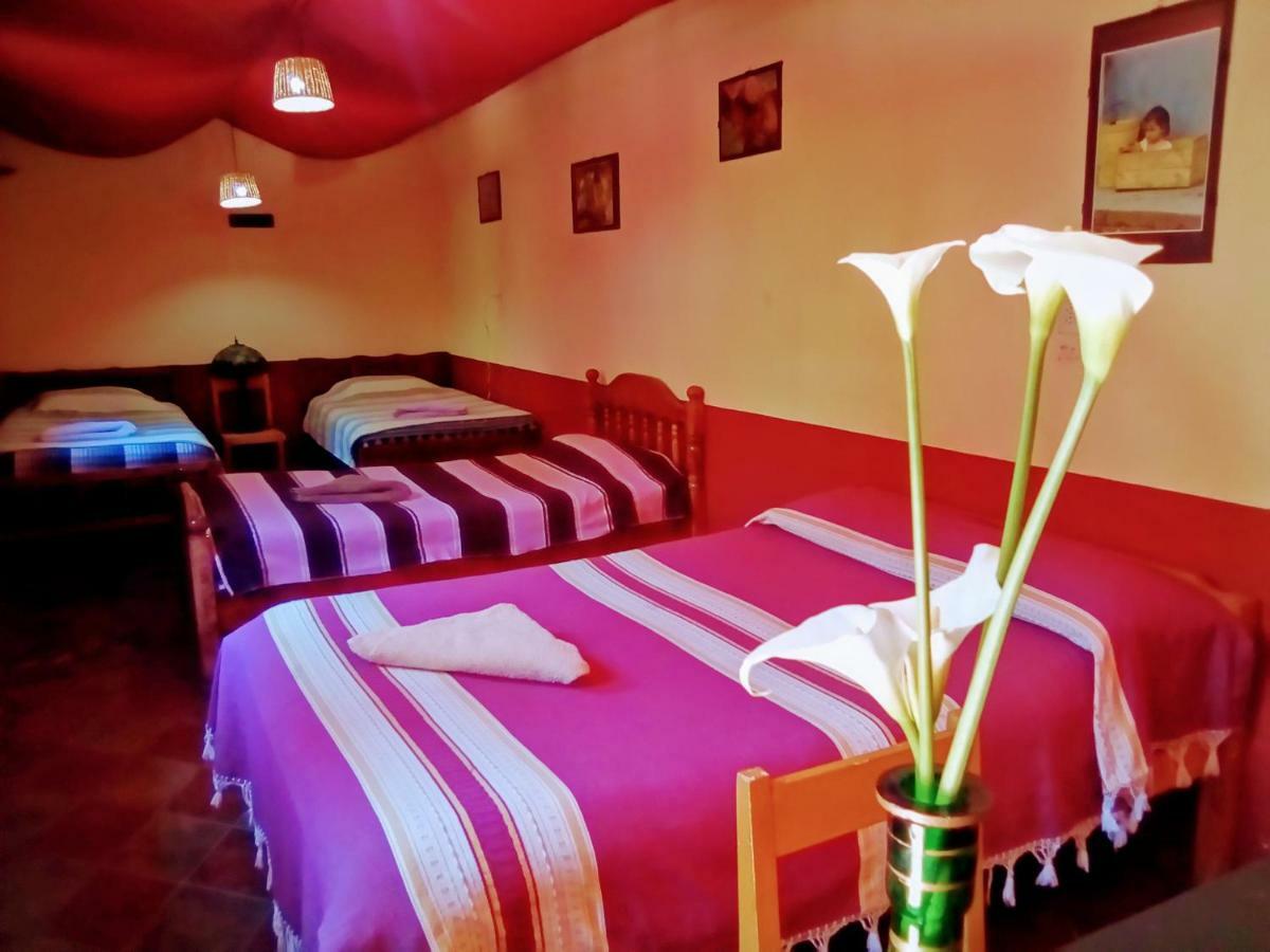 Hostal El Rincon De Los Camellos San Cristobal de las Casas Bagian luar foto
